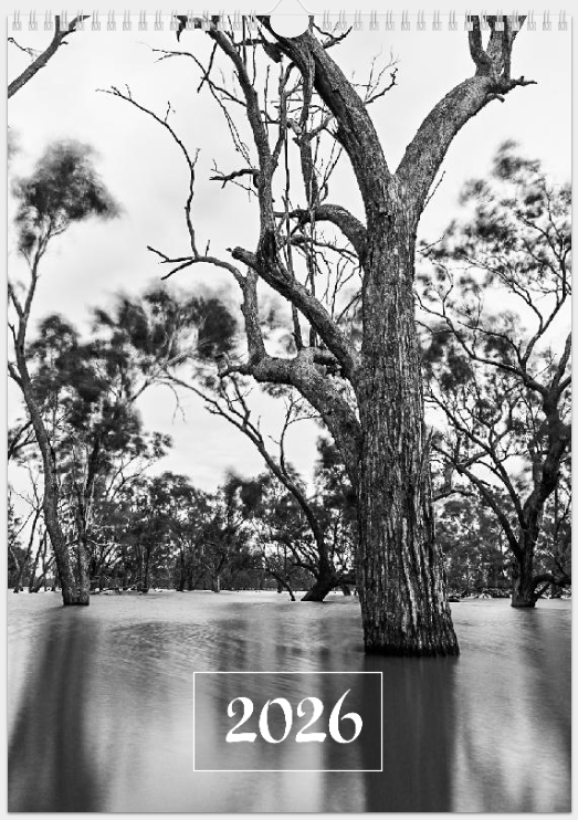 Copper Donkey Photo 2026 Landscape Calendar