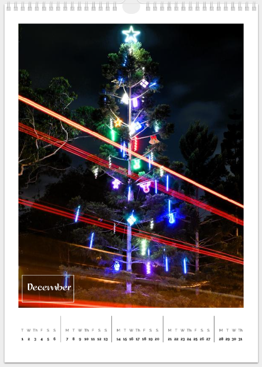 Copper Donkey Photo 2026 Landscape Calendar