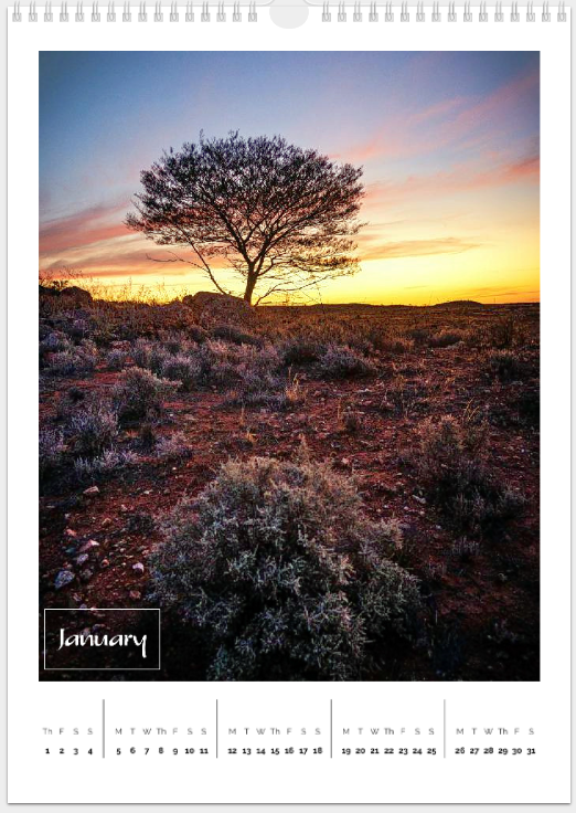 Copper Donkey Photo 2026 Landscape Calendar