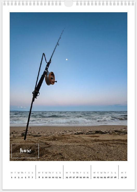 Copper Donkey Photo 2026 Landscape Calendar