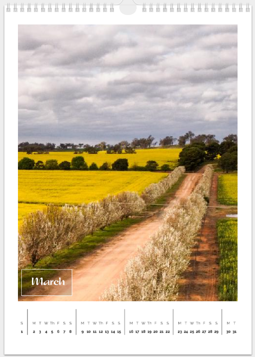 Copper Donkey Photo 2026 Landscape Calendar