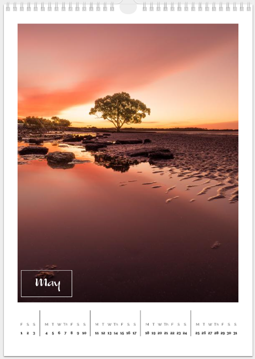 Copper Donkey Photo 2026 Landscape Calendar