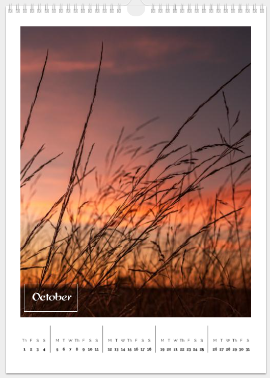 Copper Donkey Photo 2026 Landscape Calendar