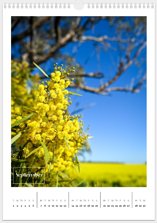 Copper Donkey Photo 2026 Landscape Calendar